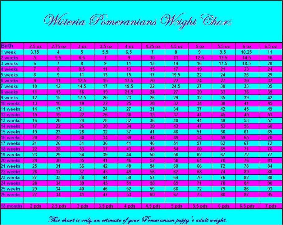 Pomeranian Weight Chart